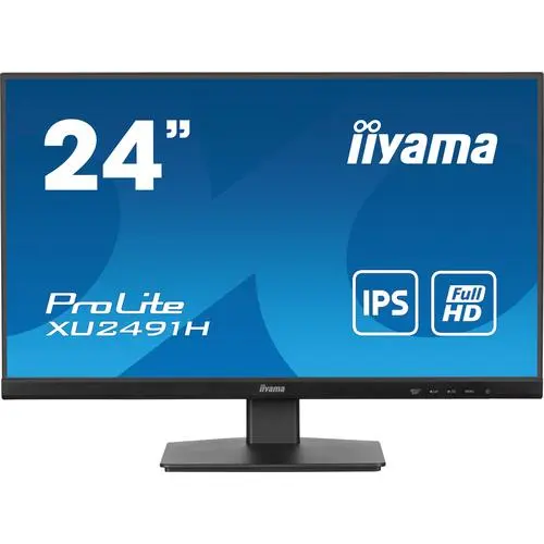 iiyama ProLite XU2491H-B1
