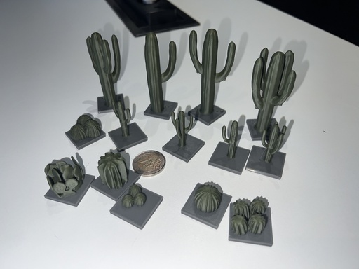 [3DG.00016] Ensemble 14 pièces - cactus